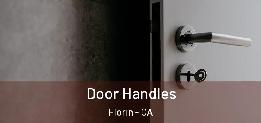  Door Handles Florin - CA