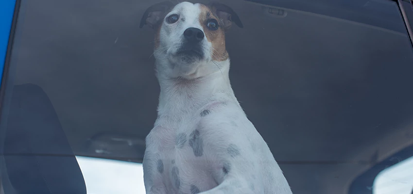 Car Lockout Solutions in Florin, California