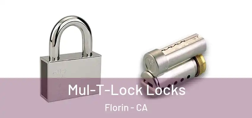  Mul-T-Lock Locks Florin - CA